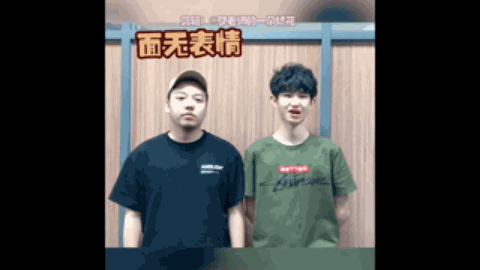 贡献和荣誉